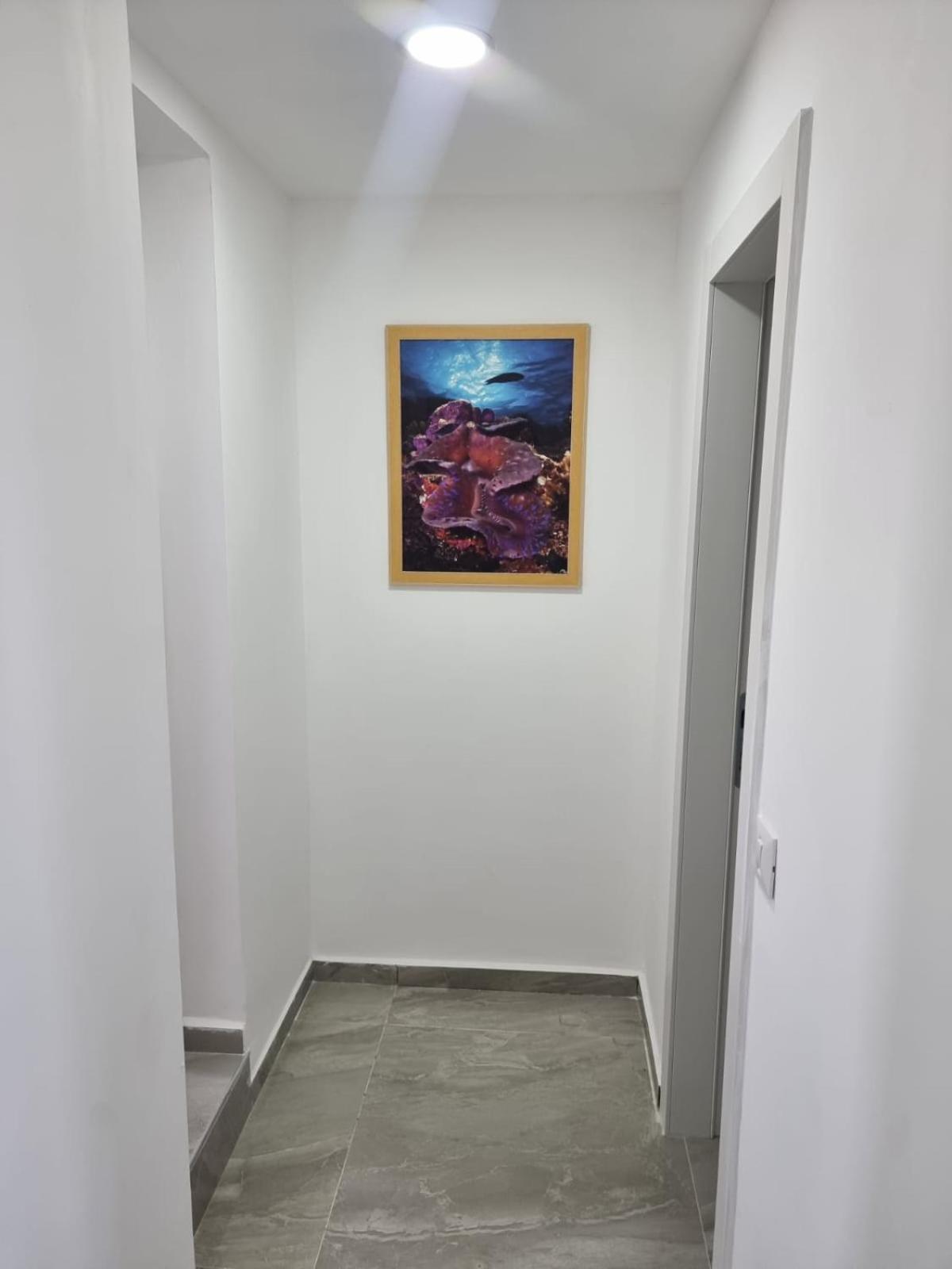 Apartament דירת גג נוף המפרץ 1105-6 Ejlat Zewnętrze zdjęcie